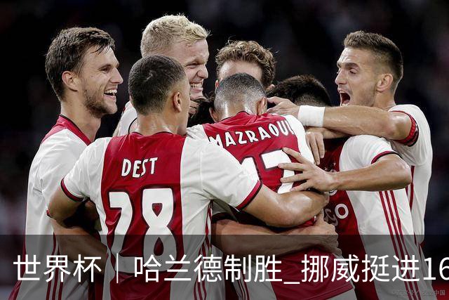 世界杯｜哈兰德制胜 挪威挺进16强将战巴西