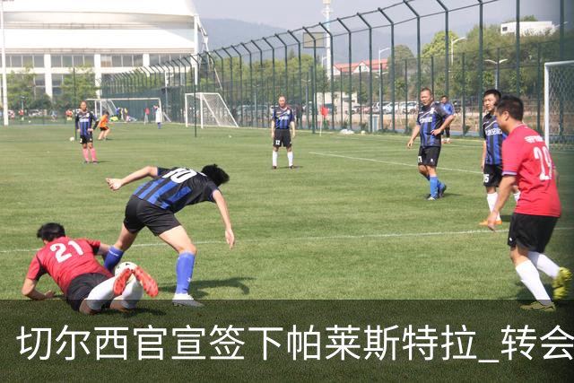 切尔西官宣签下帕莱斯特拉 转会费超5500万欧签约7年