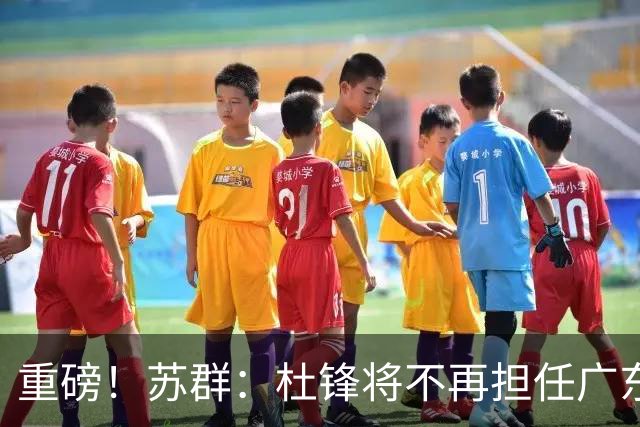 重磅！苏群：杜锋将不再担任广东队主教练，球迷：宏远天亮了